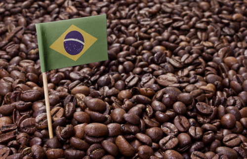 Các công ty rang xay cà phê hàng đầu của Brazil dự báo tăng giá mạnh vào năm 2025